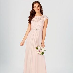 Adrianna Papell Lace Illusion Gown in Blush
